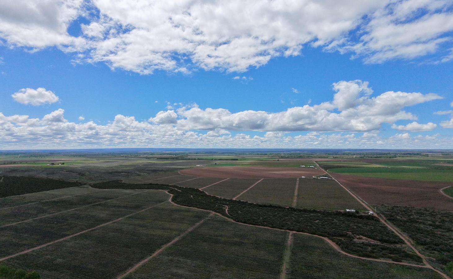 Foto de Finca y SRL San Carlos Valle de Uco, imagen 3