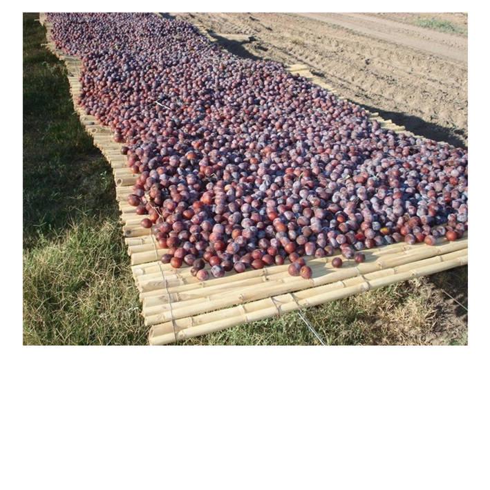Se Vende Finca de 45 Hectáreas 4
