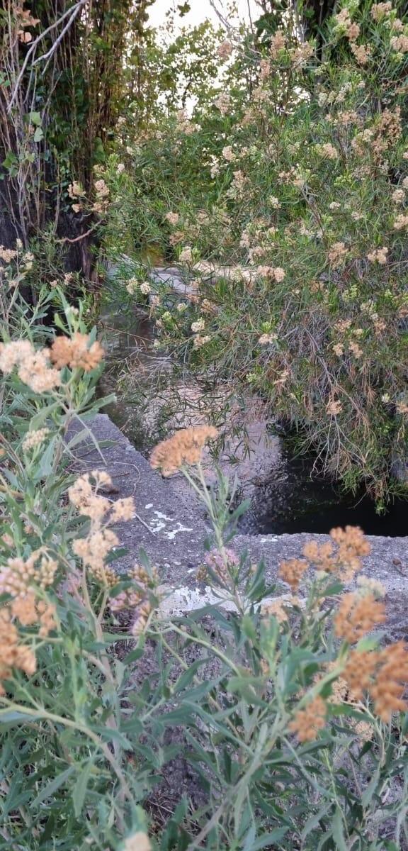 Se Vende Finca de 45 Hectáreas 5