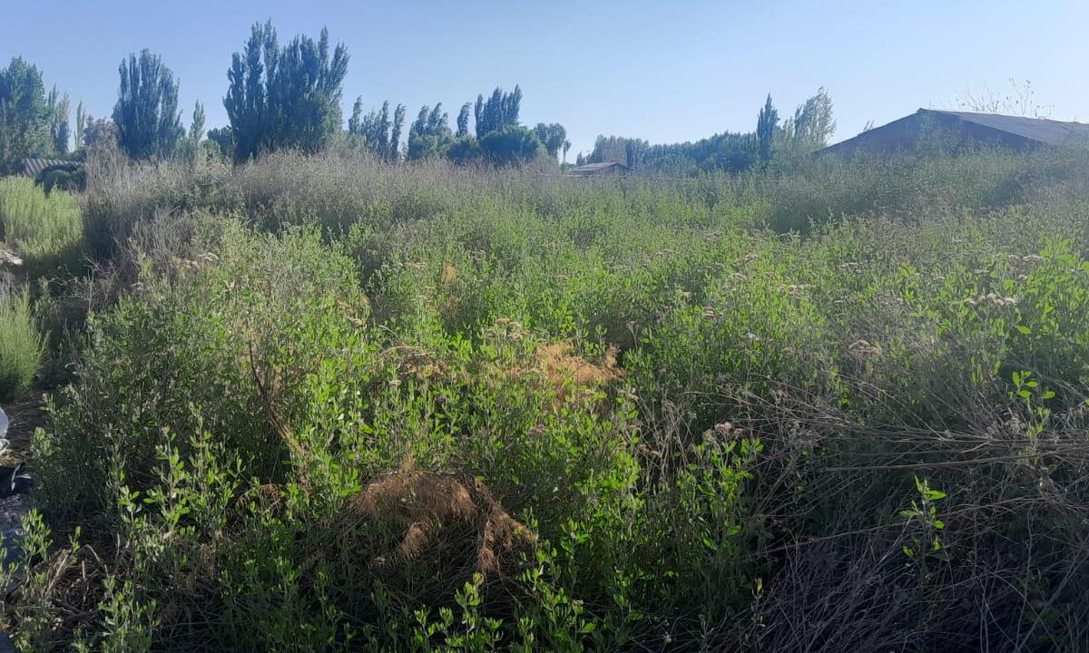 Vendo Lote 1000 m Corralitos 2