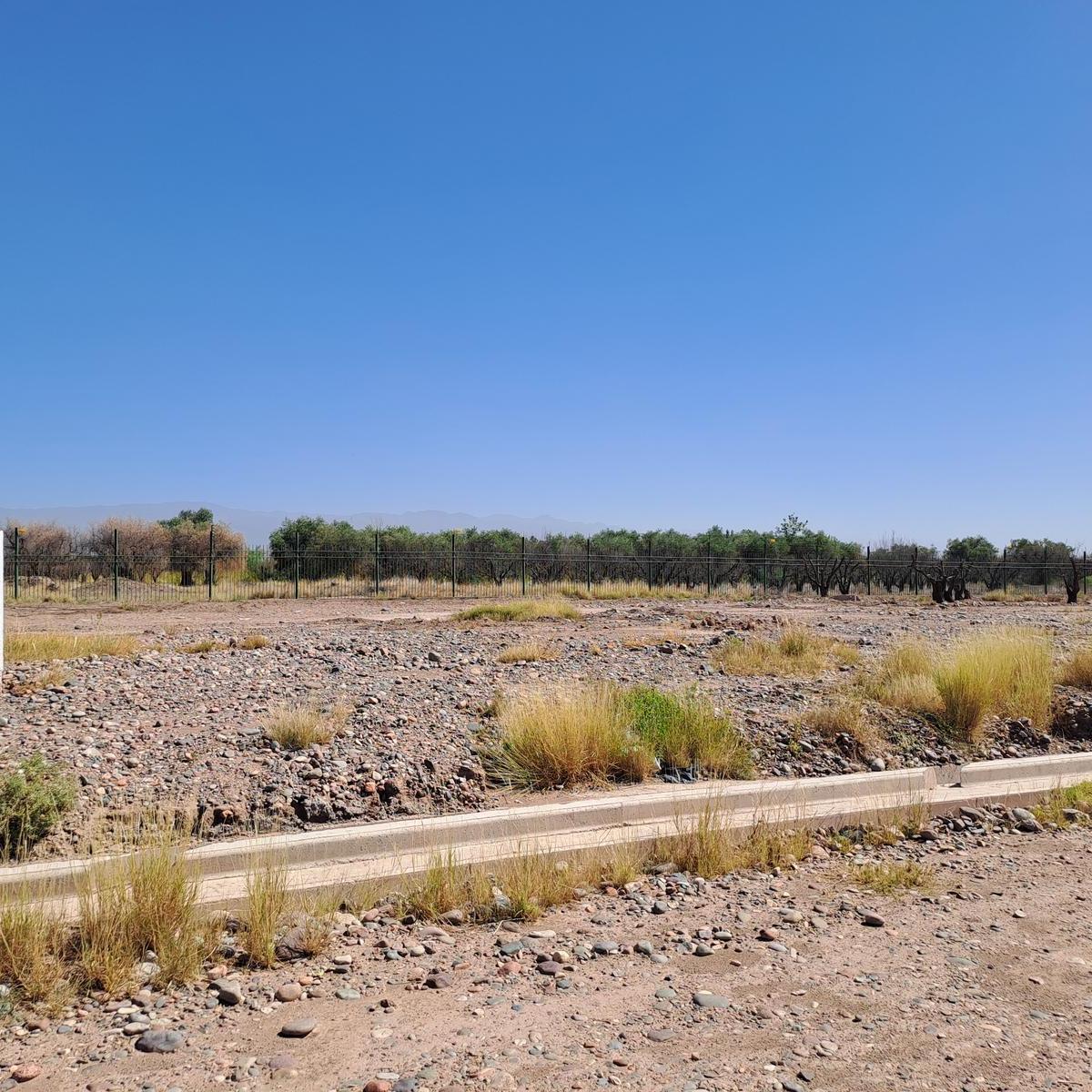 Venta - Lote Central - B° Privado Solar de Olivos - Maipu 5