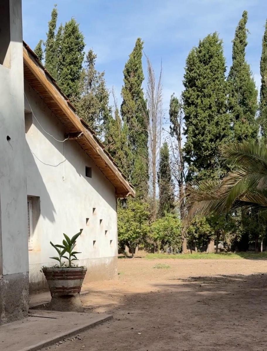 Finca - Perdriel 4