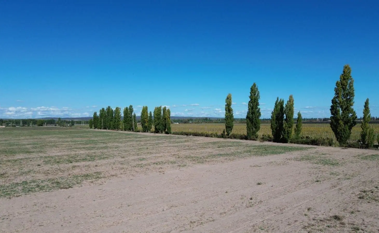Venta de Finca en Agrelo 5