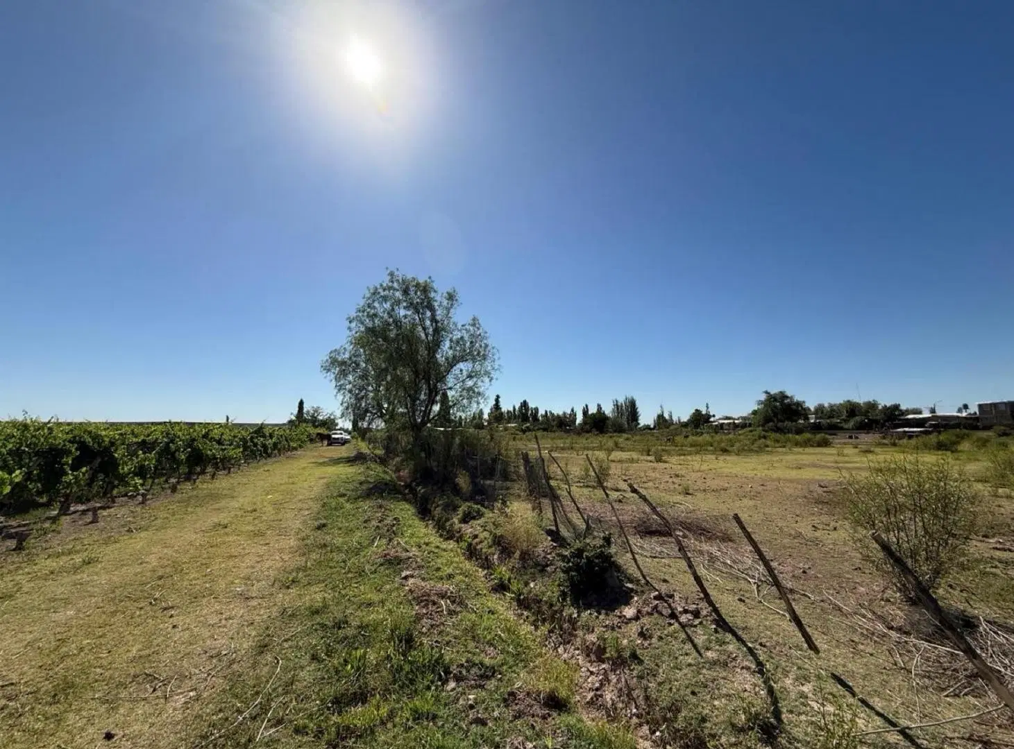 Finca en Perdriel dos fracciones en venta de 1,5 y 3 Ha en forma individual o conjunta 2