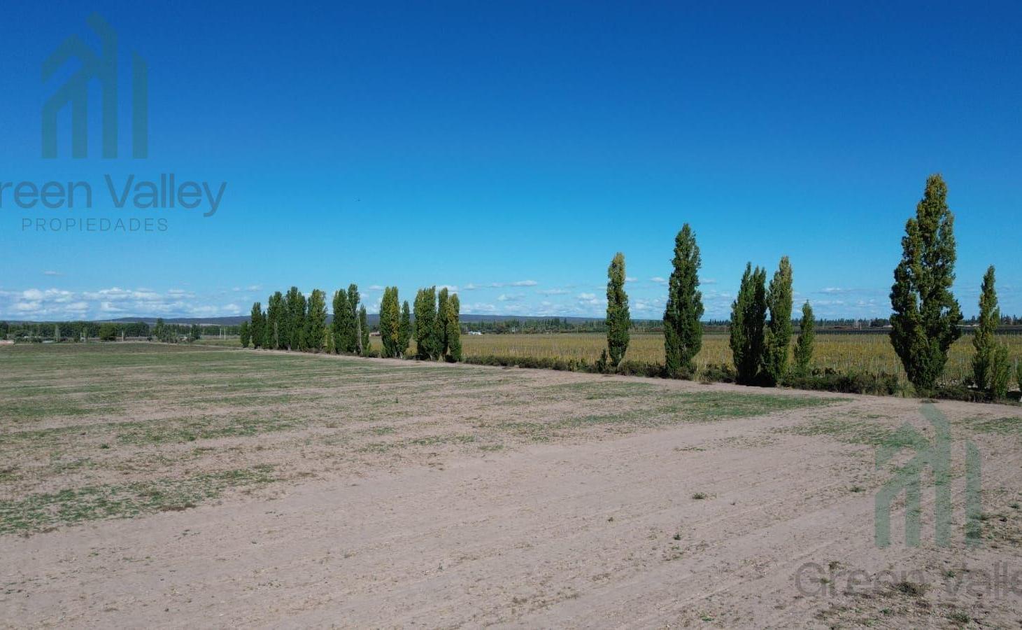 Foto de Finca de 20 hectareas en venta en calle cobos Agrelo Lujan de Cuyo, imagen 1