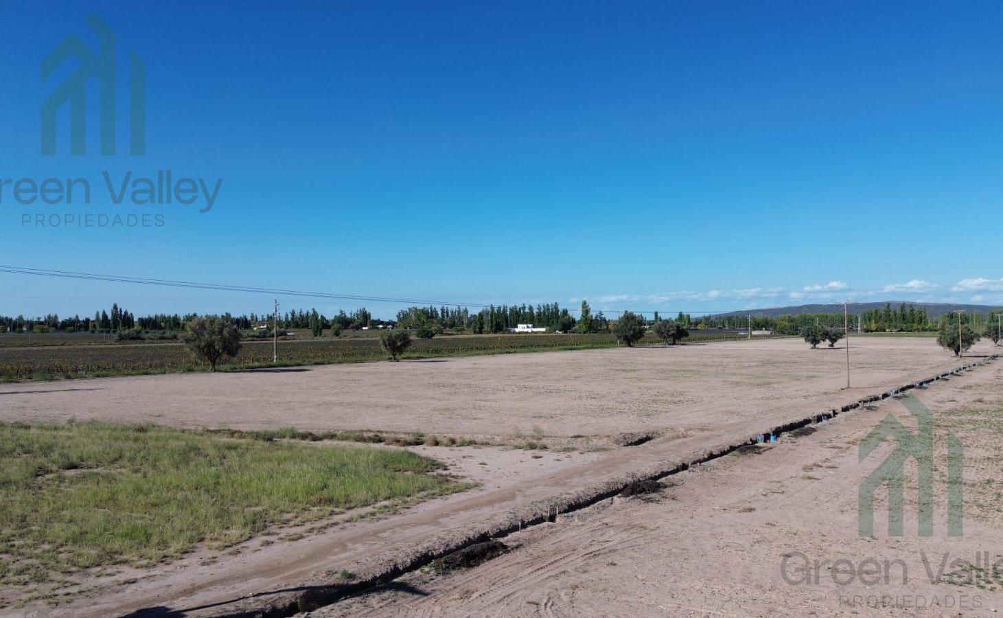 Foto de Finca de 20 hectareas en venta en calle cobos Agrelo Lujan de Cuyo, imagen 3