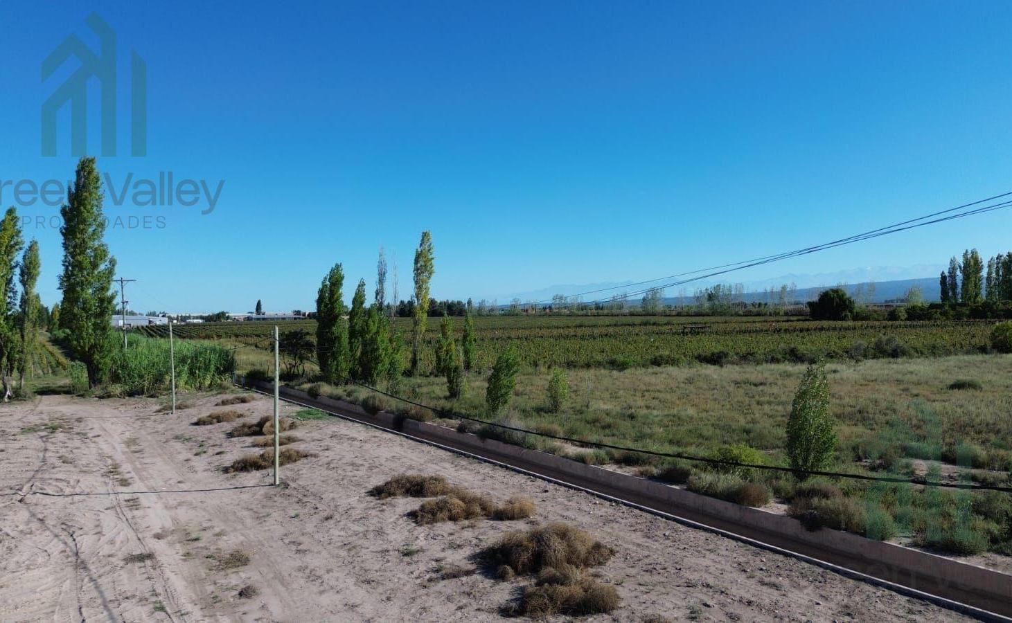 Foto de Finca de 20 hectareas en venta en calle cobos Agrelo Lujan de Cuyo, imagen 5