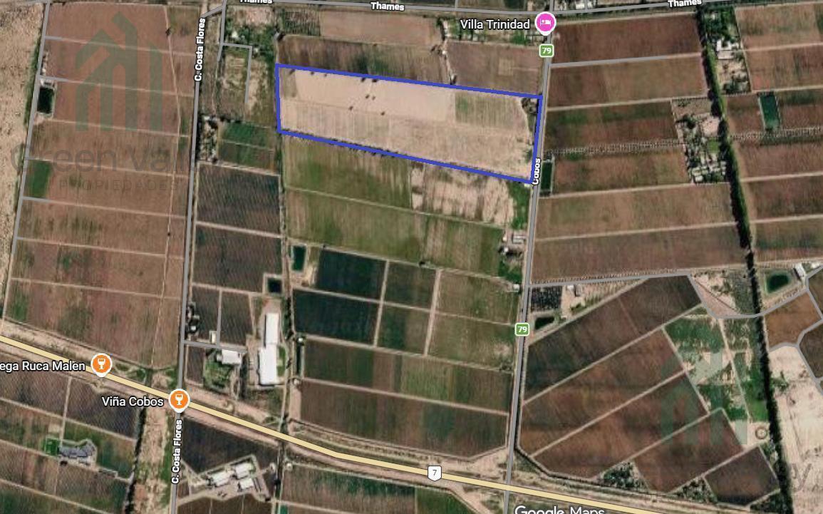 Foto de Finca de 20 hectareas en venta en calle cobos Agrelo Lujan de Cuyo, imagen 2
