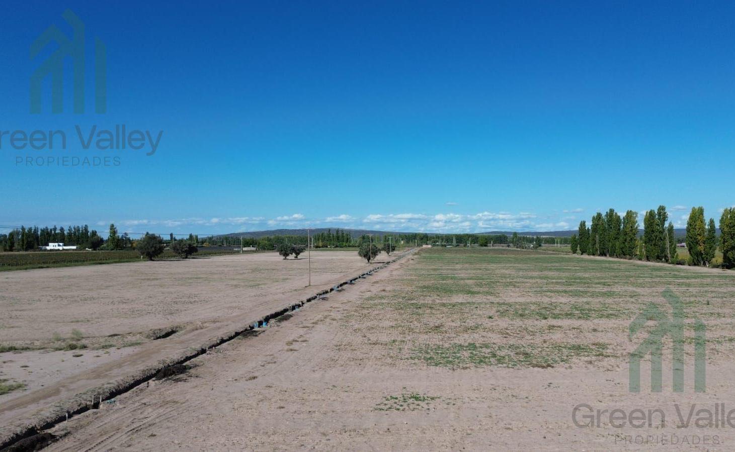 Foto de Finca de 20 hectareas en venta en calle cobos Agrelo Lujan de Cuyo, imagen 4