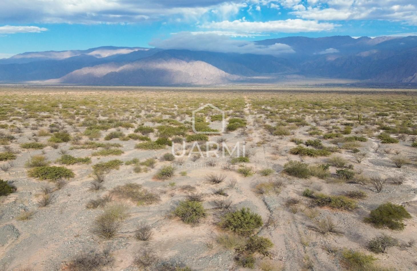 Foto de UNICO LOTE EN VENTA EN CAFAYATE, PRECIO PROMOCIONAL, imagen 1