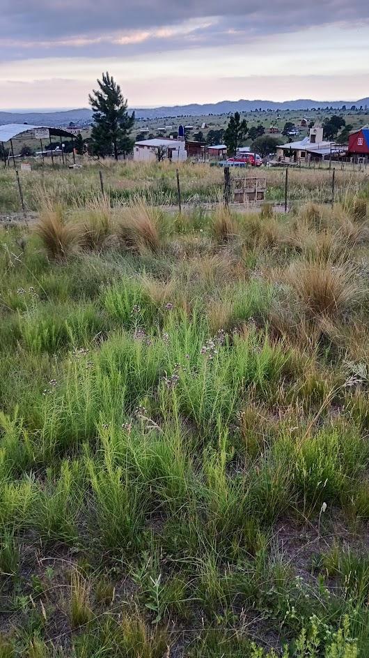LOTE EN POTRERO DE GARAY B° PAMPA ALTA