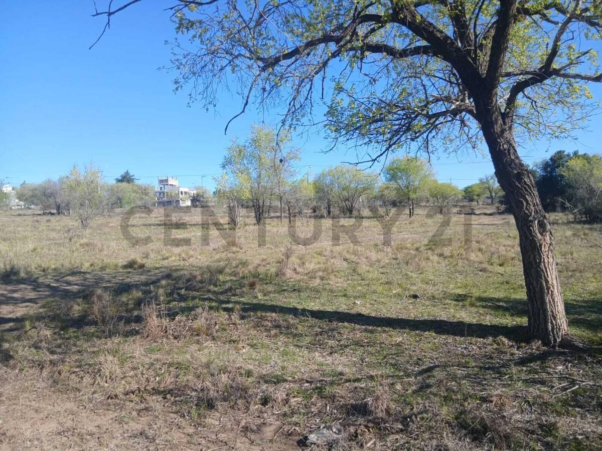 Foto de VENTA DE TERRENO . BARRIO EN CRECIMIENTO, imagen 4