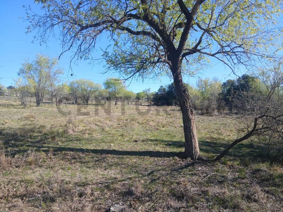 Foto de VENTA LOTE . BARRIO EN CRECIMIENTO, imagen 3