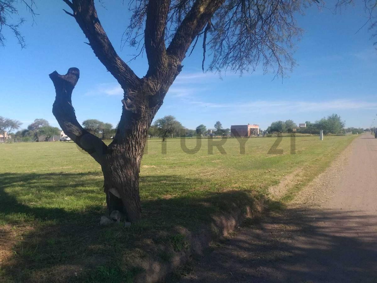 Foto de ESTACIÓN DEL CARMEN | LOTE ESQUINA 2.171 m² | CENTRAL, imagen 3