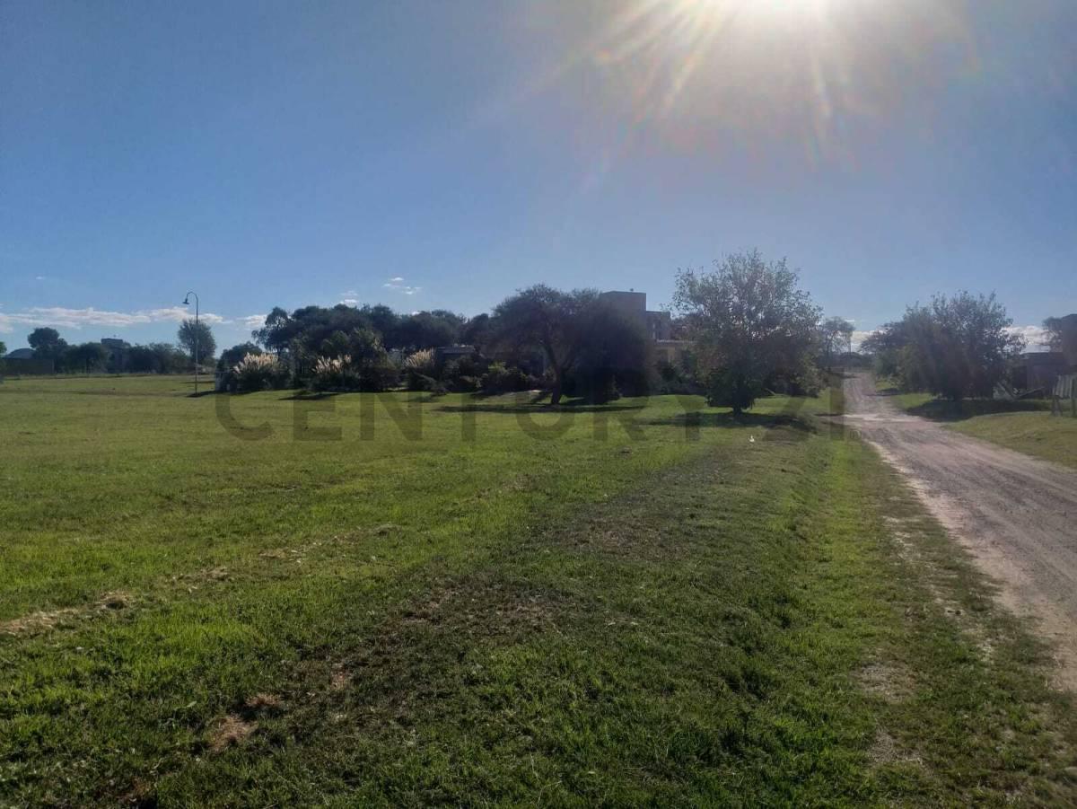 Foto de ESTACIÓN DEL CARMEN | LOTE ESQUINA 2.171 m² | CENTRAL, imagen 5