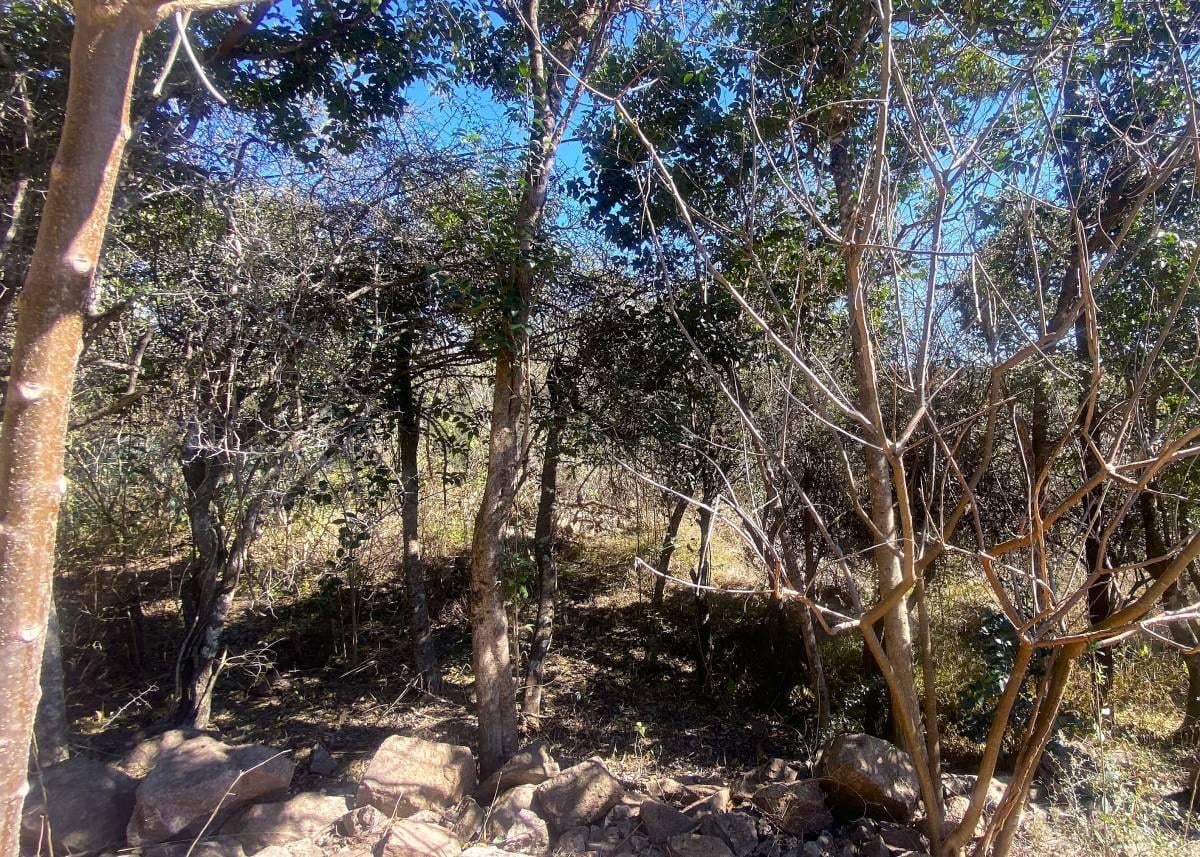 Foto de TERRENO EN VENTA EN LA GRANJA – 1.485m2 – ESCRITURA, imagen 3