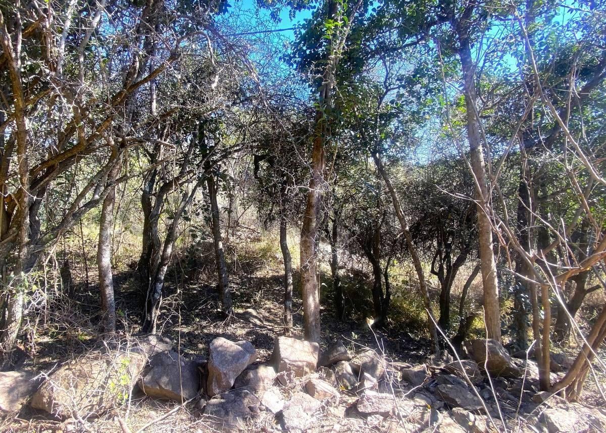 Foto de TERRENO EN VENTA EN LA GRANJA – 1.485m2 – ESCRITURA, imagen 1