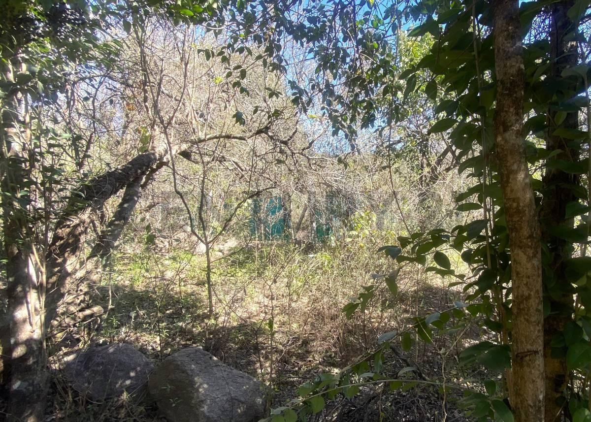 Foto de TERRENO EN VENTA EN LA GRANJA – 1.485m2 – ESCRITURA, imagen 2