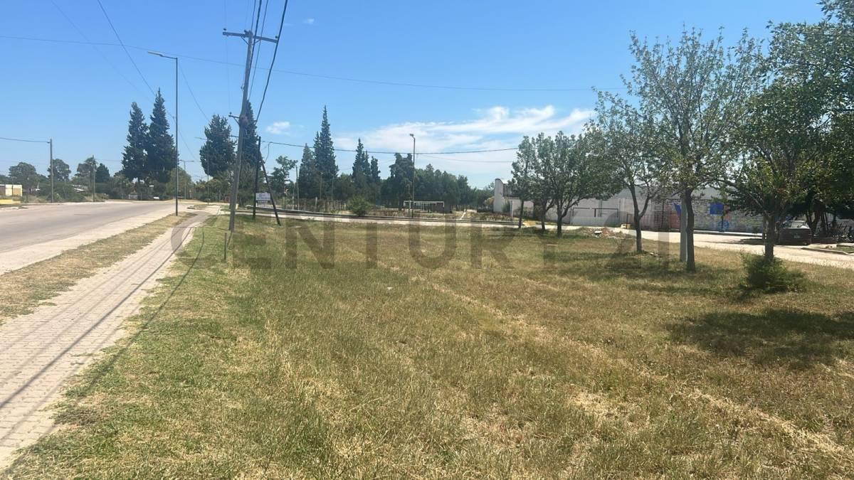 Foto de VENTA LOTE DE 850M, VILLA DE SOTO, imagen 2