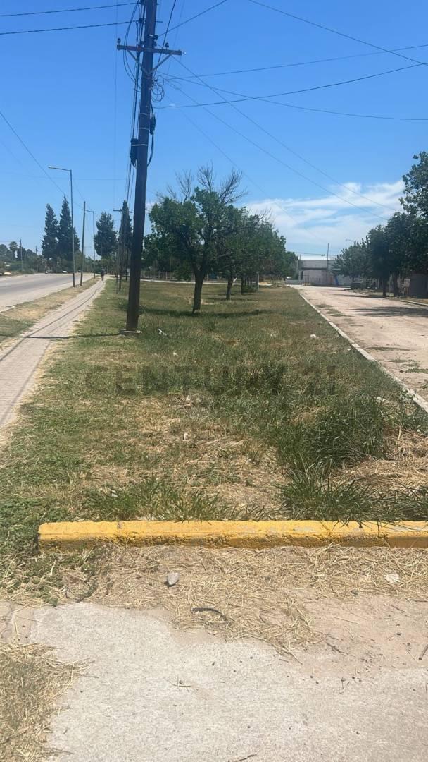 Foto de VENTA LOTE DE 850M, VILLA DE SOTO, imagen 1