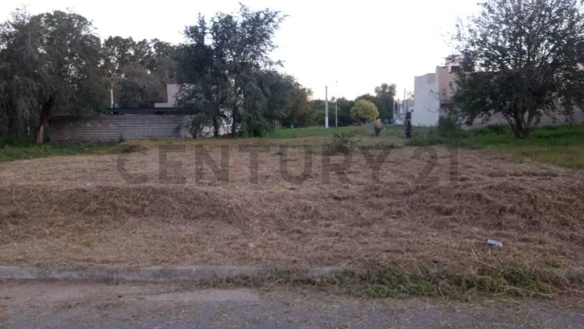 Foto de Nuevo Urca Lote Apto Duplex, imagen 1