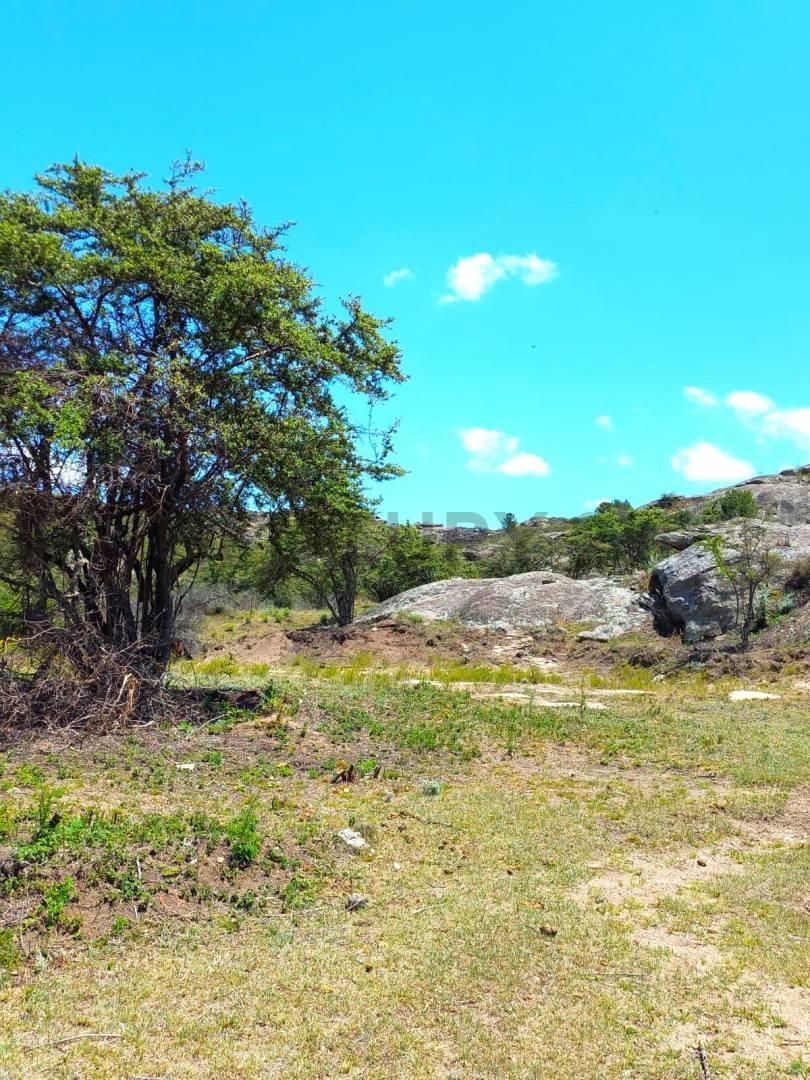 Foto de TANTI Oportunidad en las Sierras de Córdoba, imagen 5