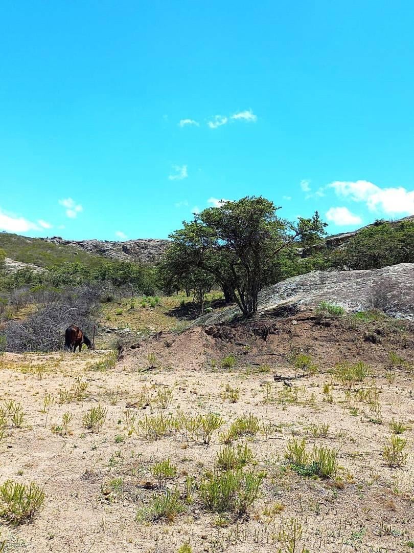 Foto de TANTI Oportunidad en las Sierras de Córdoba, imagen 4