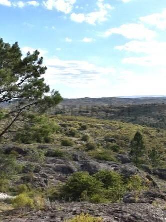 Foto de TANTI Oportunidad en las Sierras de Córdoba, imagen 2