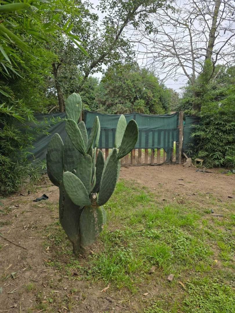 Foto de OPORTUNIDAD EN ANISACATE, imagen 3