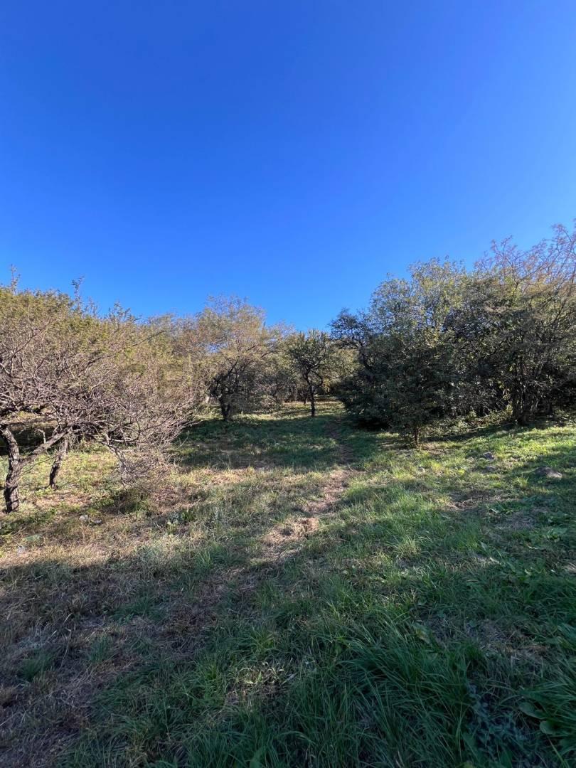 Foto de VENTA LOTE LOMAS DE MENDIOLAZA, imagen 3