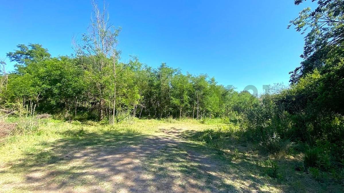 Foto de Campito a la venta en VERTIENTES DE LA GRANJA, imagen 1