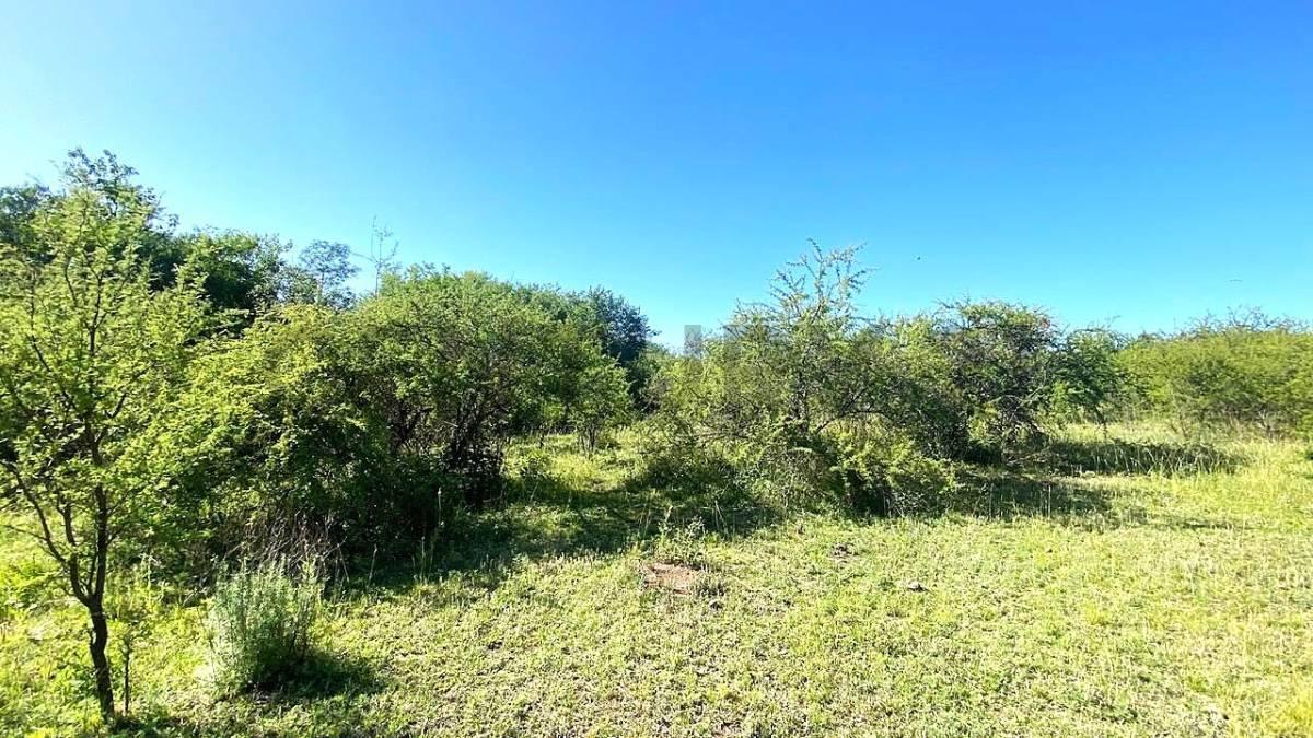Foto de Campito a la venta en VERTIENTES DE LA GRANJA, imagen 4