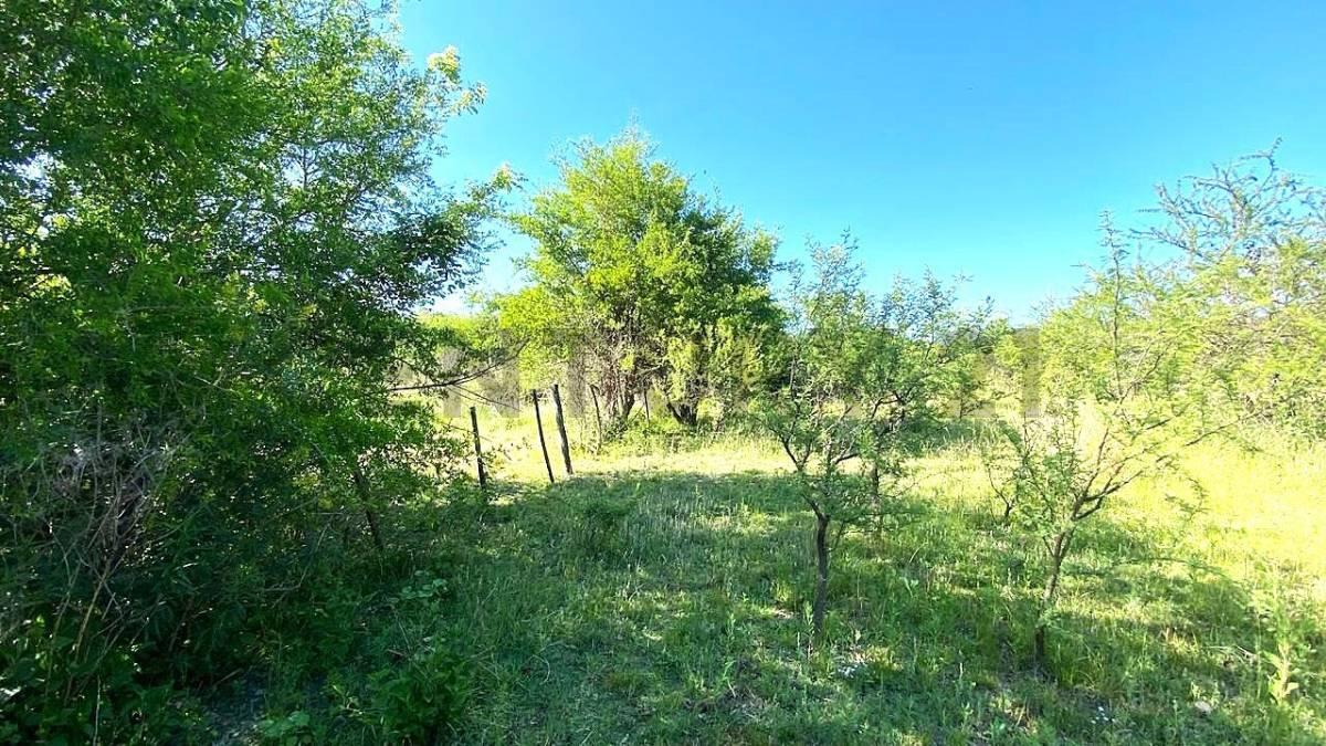 Foto de Campito a la venta en VERTIENTES DE LA GRANJA, imagen 2