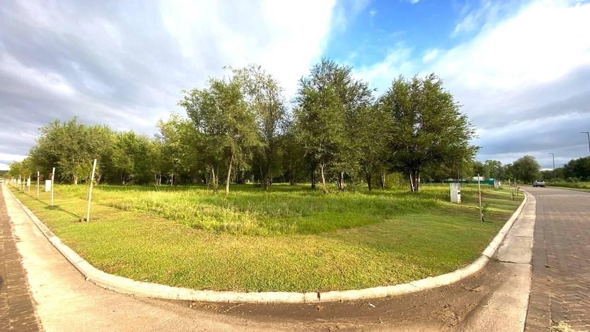 Foto de NUEVO MALAGUEÑO LOTE RESIDENCIAL, imagen 4