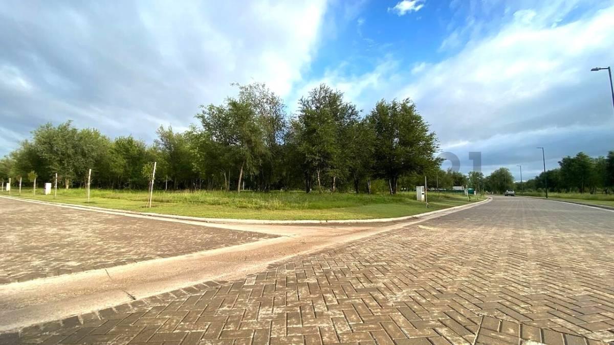 Foto de NUEVO MALAGUEÑO LOTE RESIDENCIAL, imagen 3
