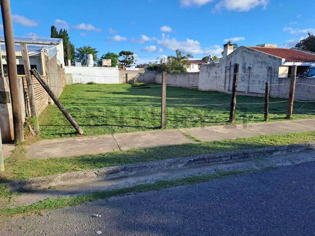 Foto de Terreno en Marques de Sobremonte, imagen 4
