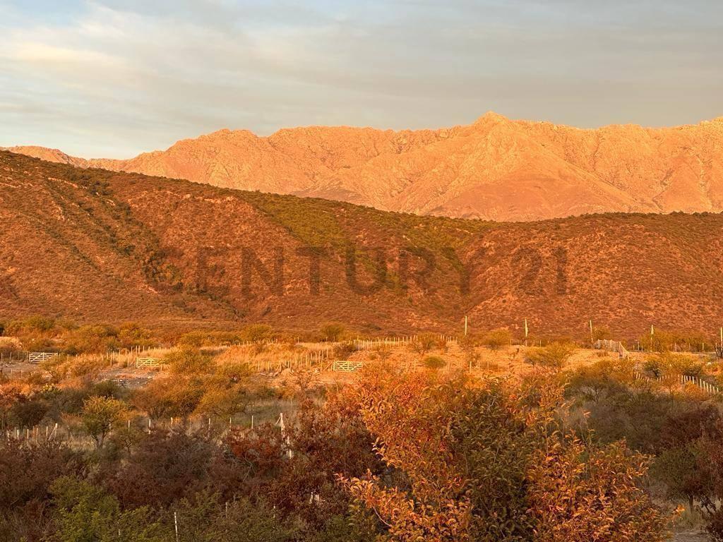 Foto de Tu lugar entre sierras y postales: lote de 1250 m² | Camino al Dique La, imagen 3