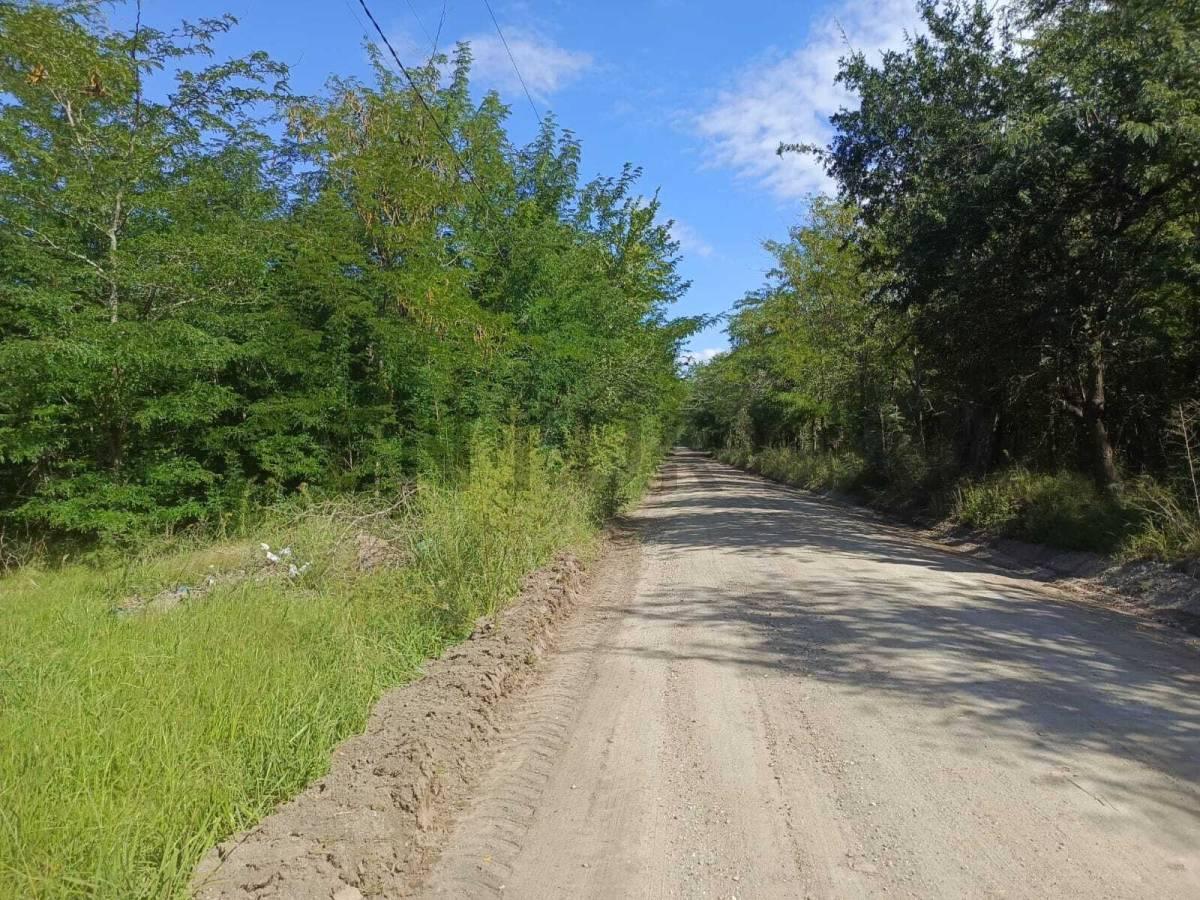 Foto de Lote arbolado de 788 m² en Anisacate — A 500 m del río, con servicios y, imagen 5