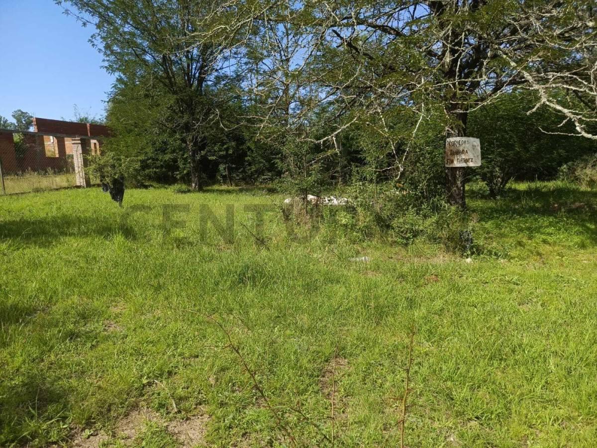 Foto de Lote arbolado de 788 m² en Anisacate — A 500 m del río, con servicios y, imagen 3
