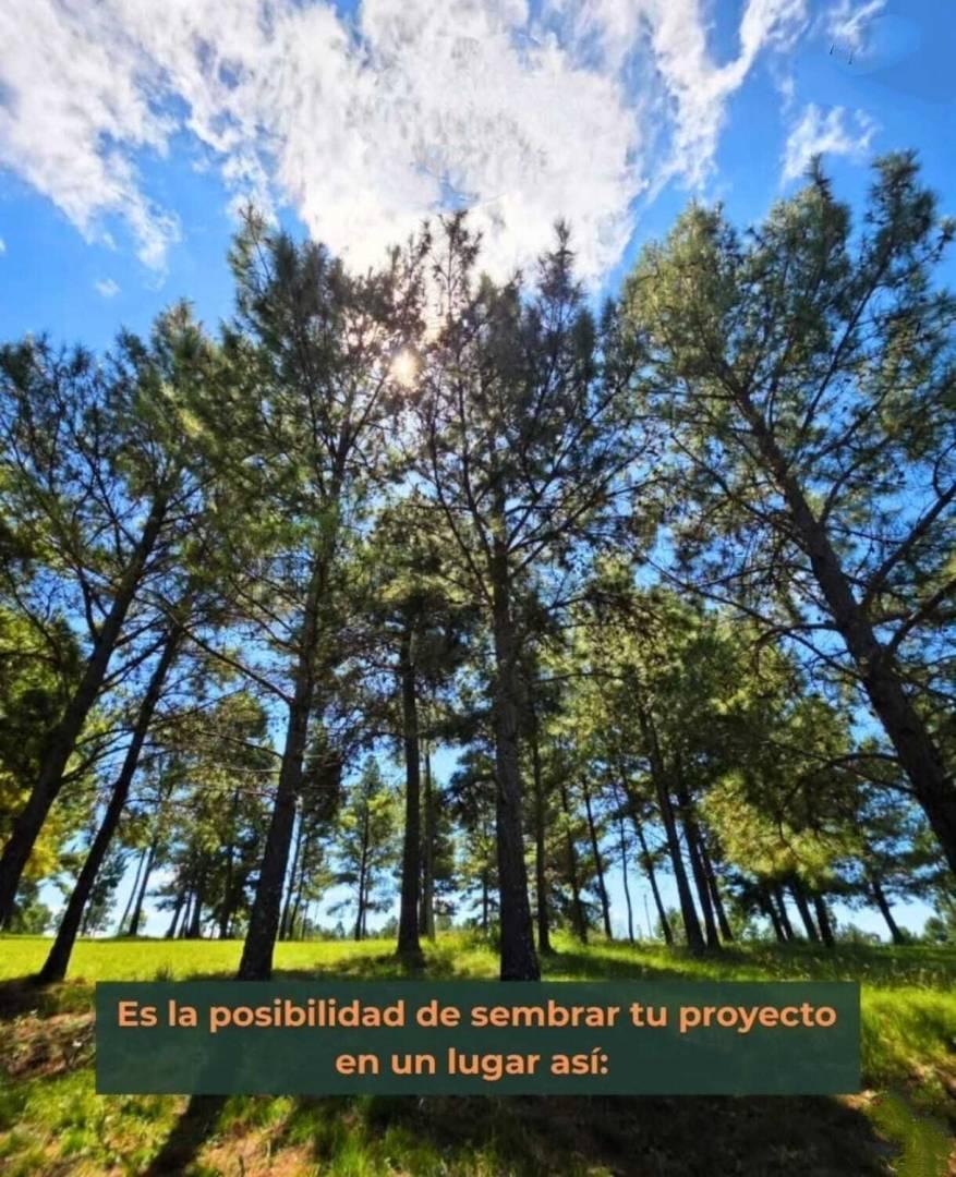 Foto de Lote en barrio privado de montaña — Villa Yacanto, Valle de Calamuchita, imagen 1
