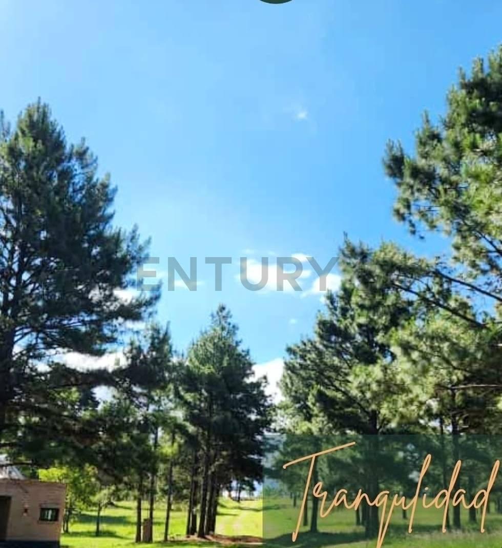 Foto de Lote en barrio privado de montaña — Villa Yacanto, Valle de Calamuchita, imagen 4