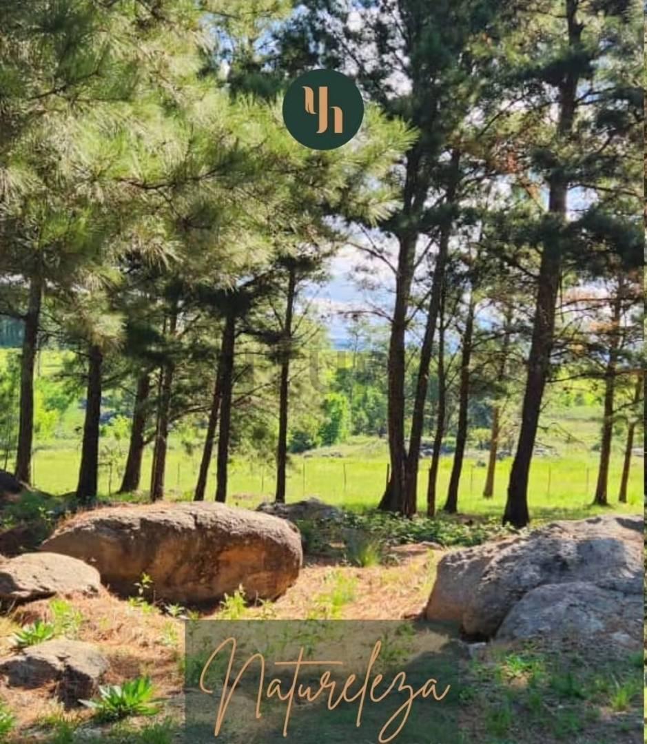Foto de Lote en barrio privado de montaña — Villa Yacanto, Valle de Calamuchita, imagen 3