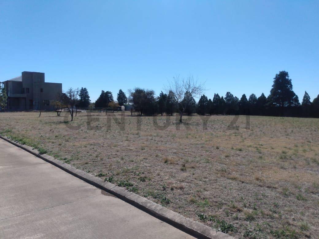 Foto de Lote en venta Country JIREH DORF 1500 m2, imagen 3