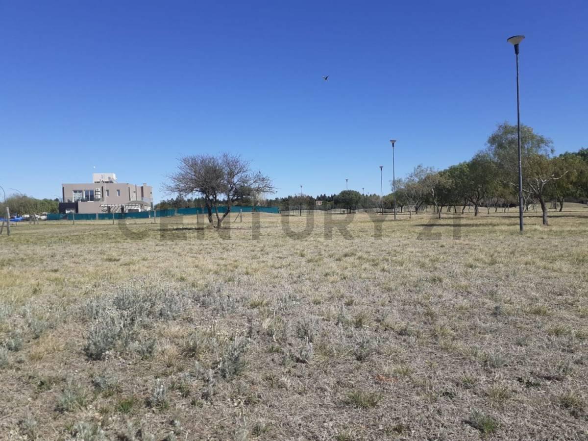 Foto de Lote en venta Country JIREH DORF 1500 m2, imagen 2