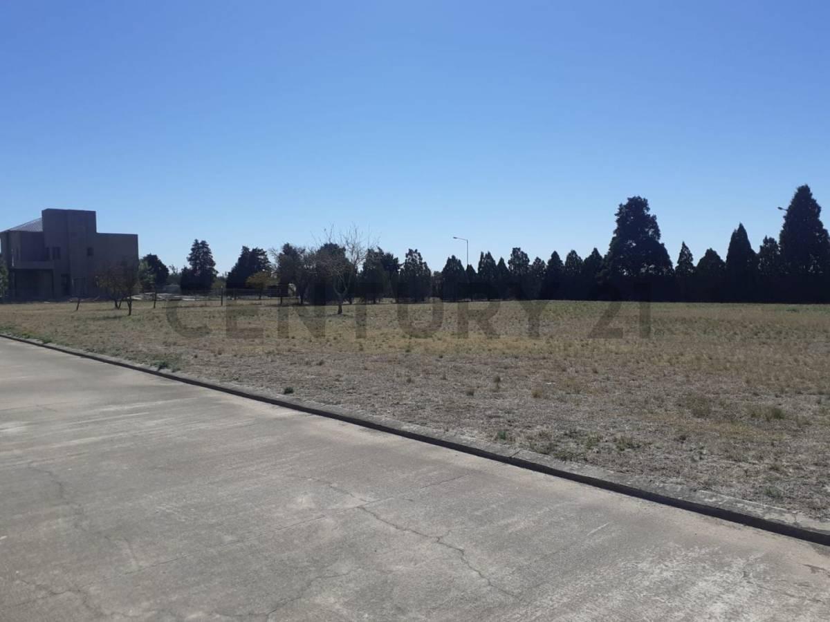 Foto de Lote en venta Country JIREH DORF 1500 m2, imagen 5