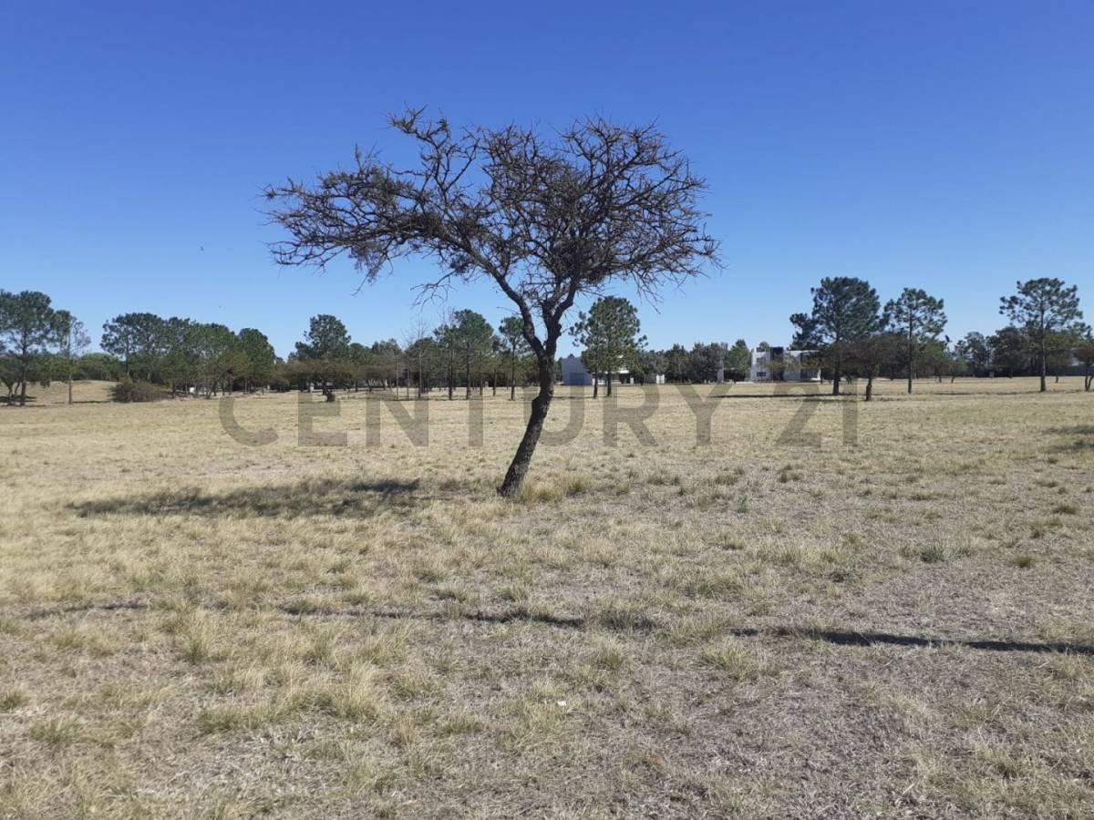 Foto de Lote en venta Country JIREH DORF 1500 m2, imagen 4