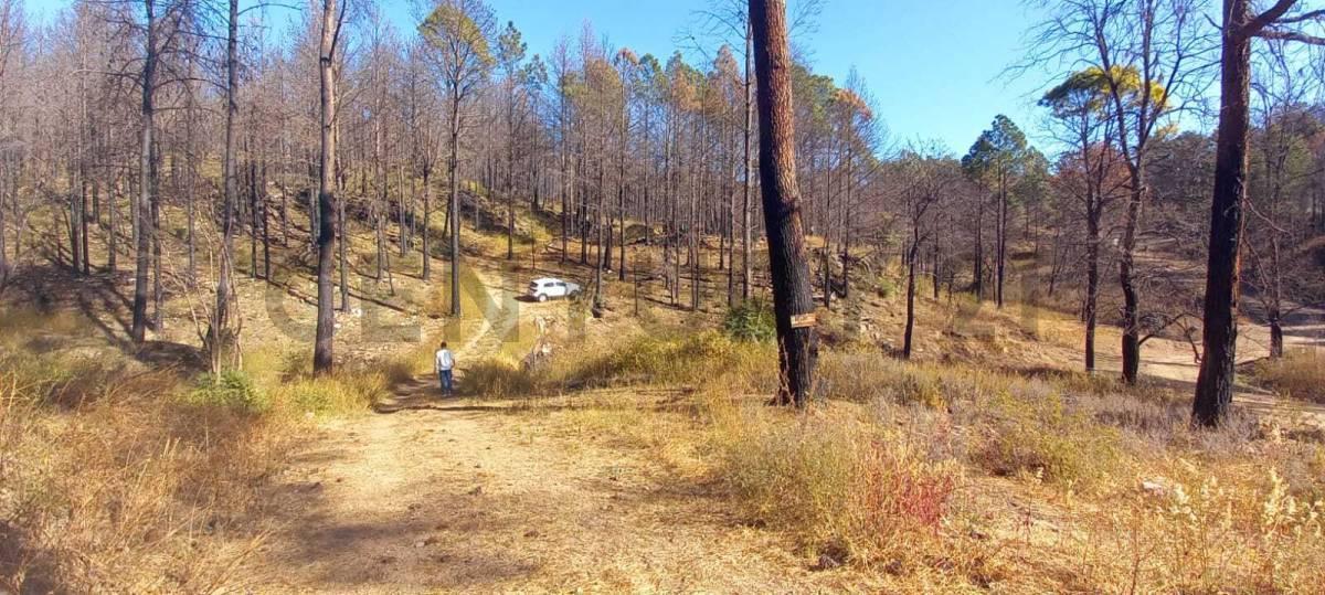 Foto de VENTA LOTE EN MONTAÑA VILLA DEL CONDOR . BARRIO DE CASAS , LOTES Y CLUB, imagen 4