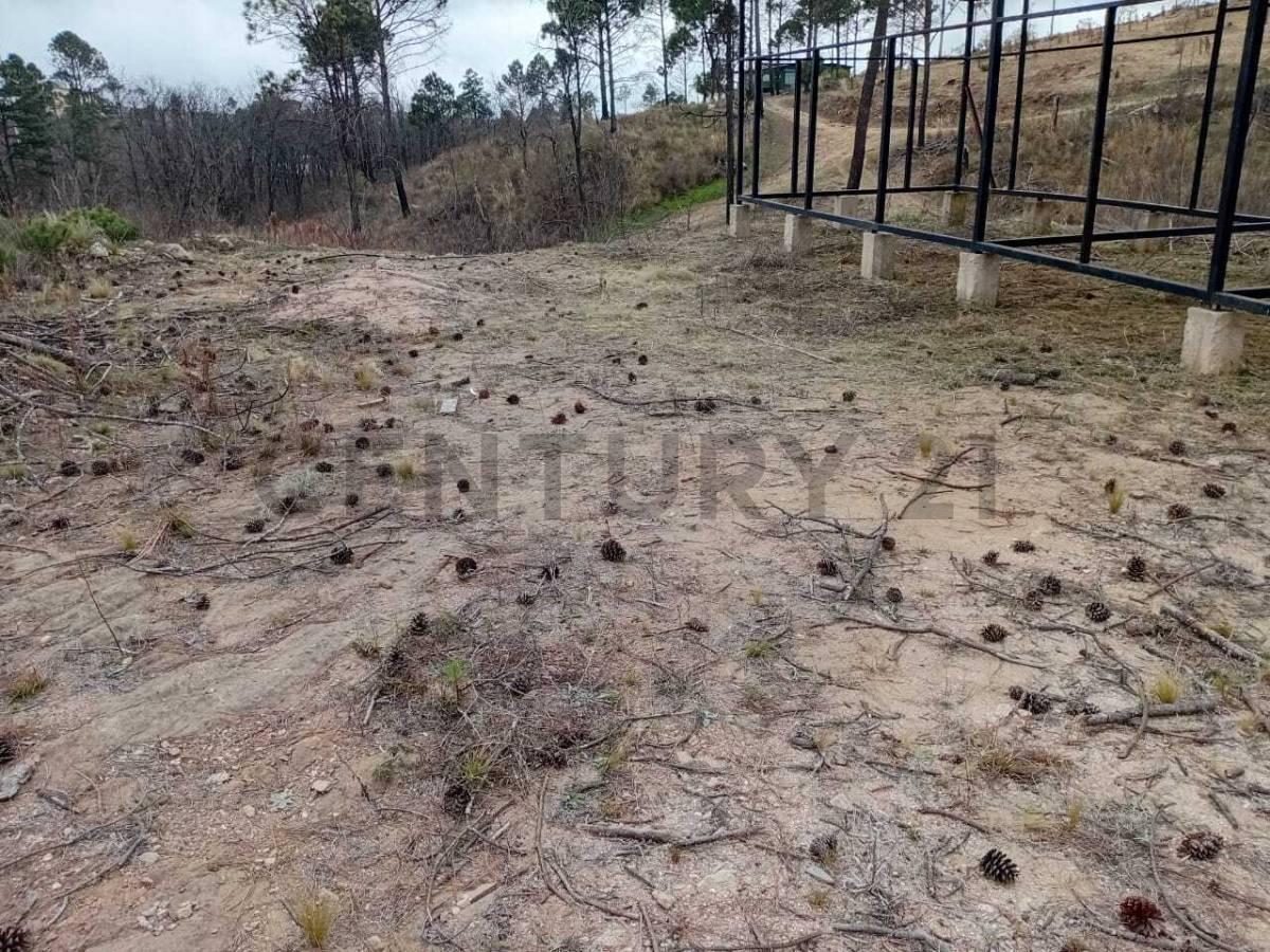 Foto de VENTA LOTE EN MONTAÑA VILLA DEL CONDOR . BARRIO DE CASAS , LOTES Y CLUB, imagen 5
