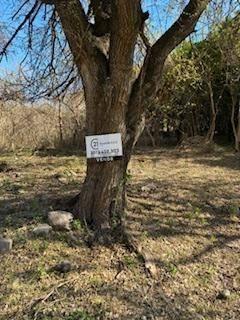 Foto de CORRAL DE BARRANCAS, LOTE DE 8318M2, imagen 1