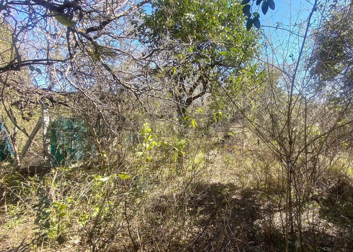 Foto de TERRENO EN VENTA EN LA GRANJA – 1.485m2 – ESCRITURA, imagen 5